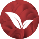 Button Icon
